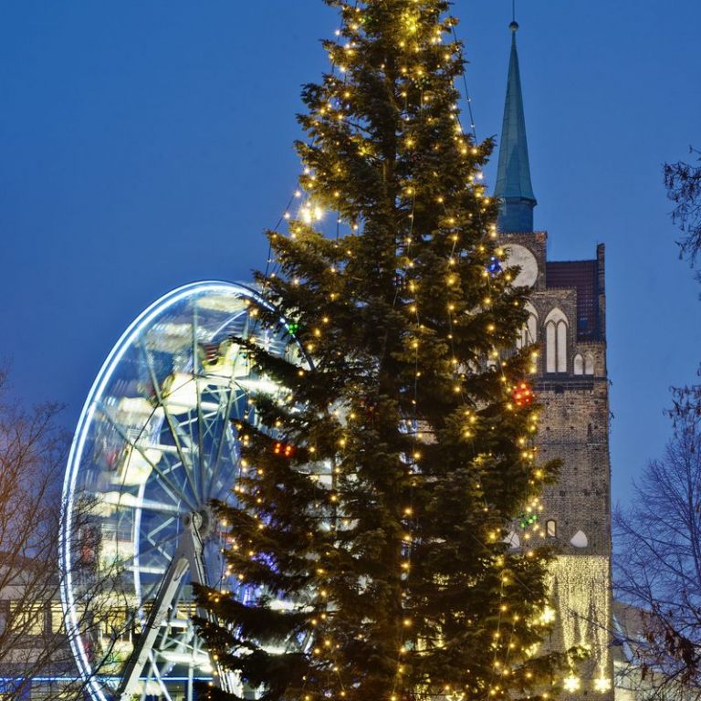 Weihnachtstanne